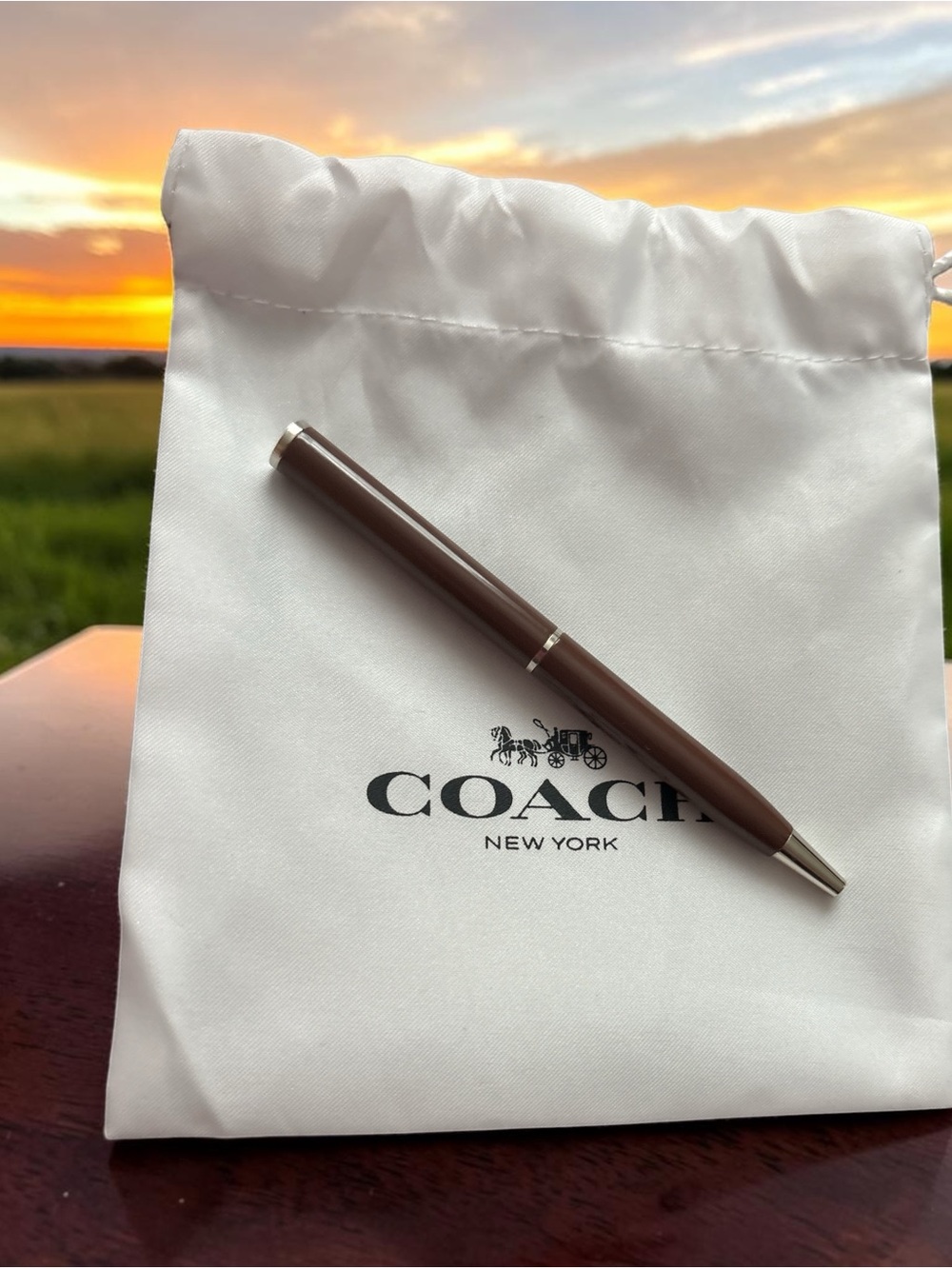 COACH mini chocolate Ballpoint Pen with dusty